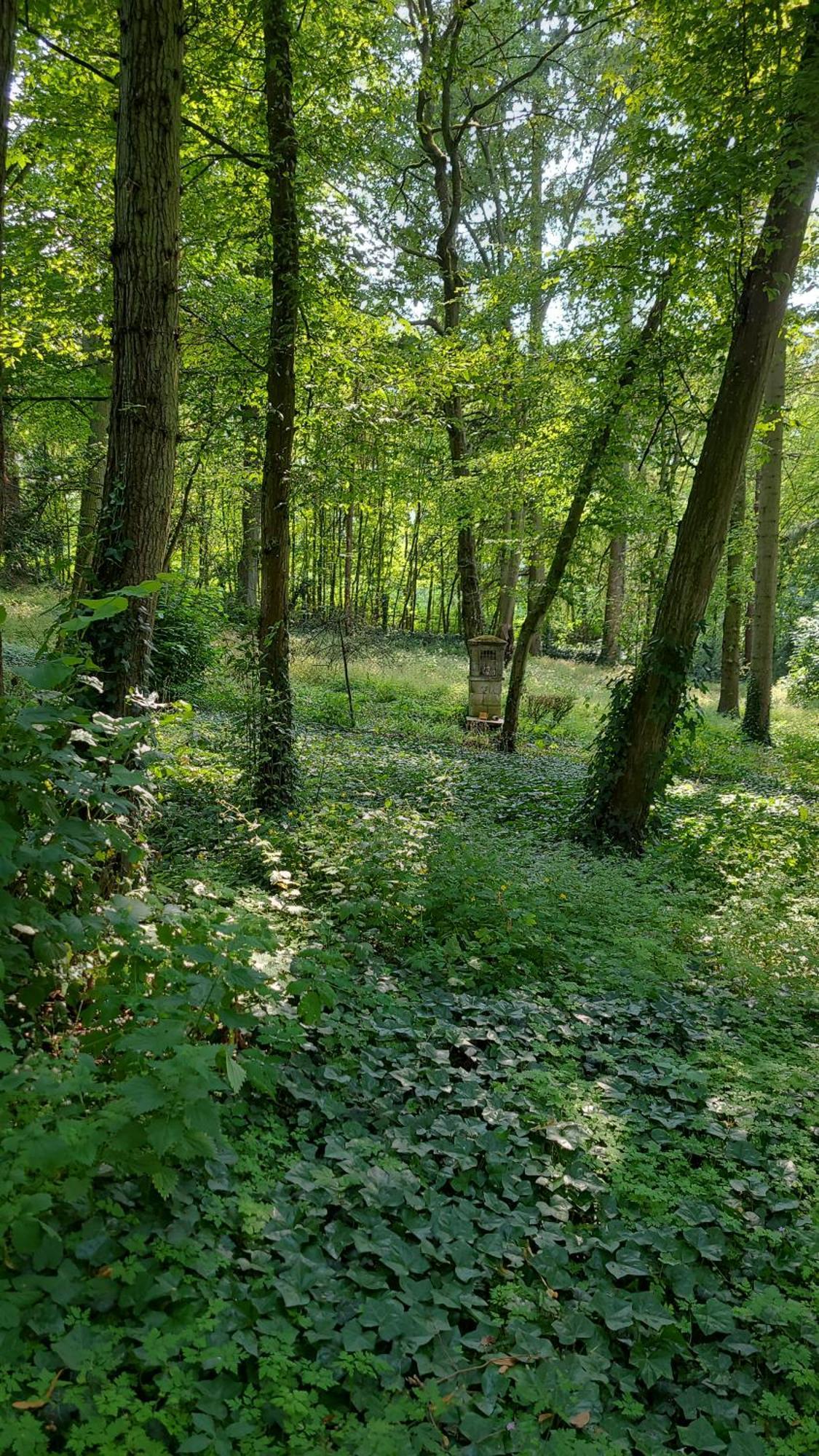 Le Manoir Paradi Presles-et-Thierny Kültér fotó