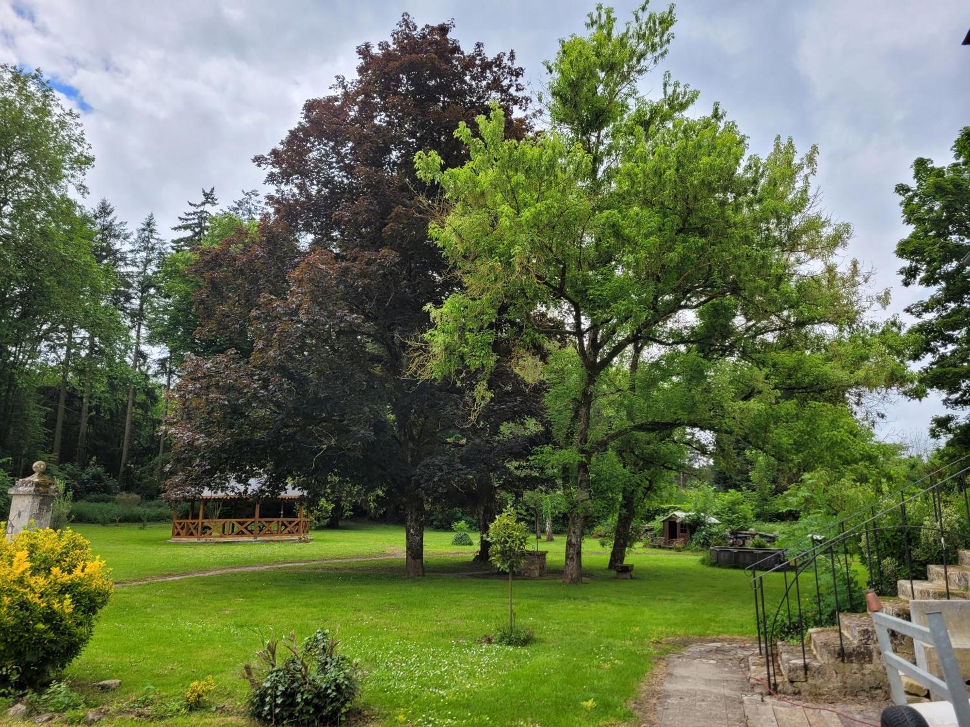 Le Manoir Paradi Presles-et-Thierny Kültér fotó